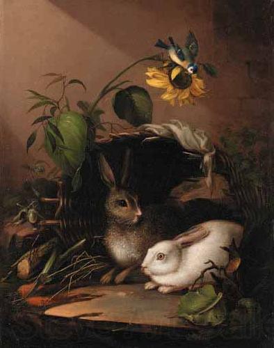 Carl Johann Lasch Two rabbits in an upturned basket with a blue tit on a sunflower